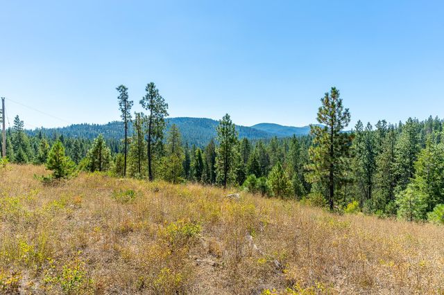 1059 Scotia Rd, Newport, WA 99156