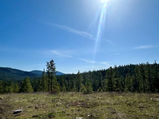 1059 Scotia Rd, Newport, WA 99156