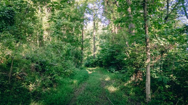 0 Johnson School RD, Thaxton, VA 24174