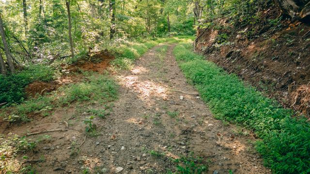0 Johnson School RD, Thaxton, VA 24174