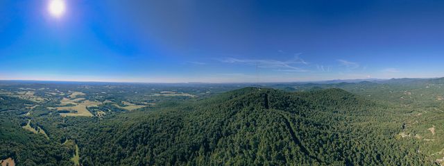0 Johnson School RD, Thaxton, VA 24174