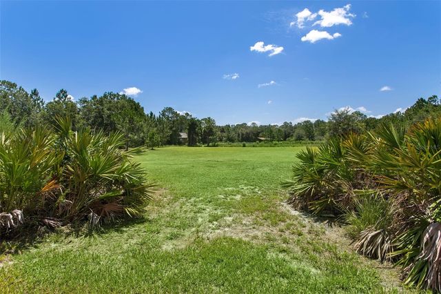 8408 WOODLEAF BOULEVARD, Wesley Chapel, FL 33544