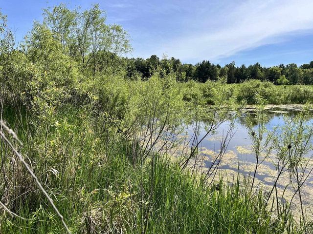 1039 Edgewood Drive, Adams, WI 53910