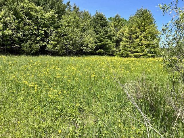 1039 Edgewood Drive, Adams, WI 53910