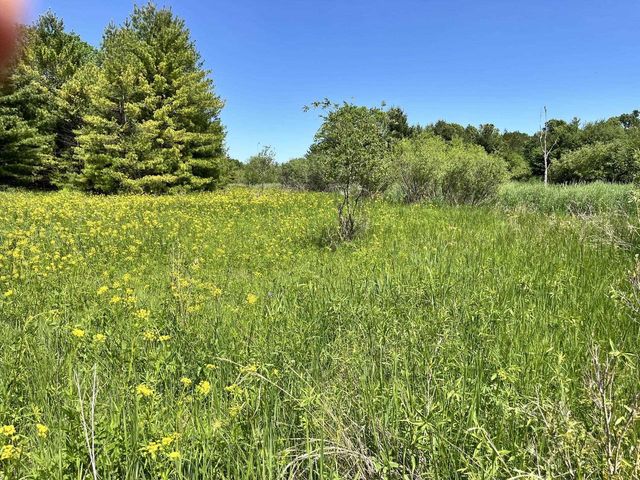 1039 Edgewood Drive, Adams, WI 53910