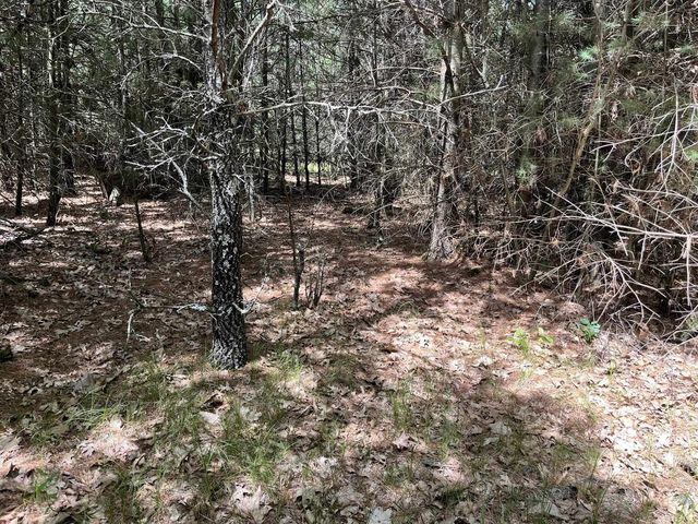 1039 Edgewood Drive, Adams, WI 53910