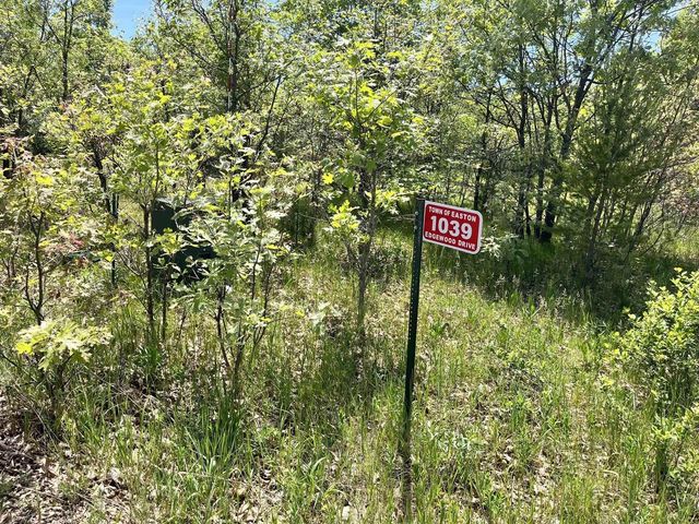 1039 Edgewood Drive, Adams, WI 53910