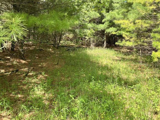 1039 Edgewood Drive, Adams, WI 53910