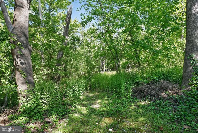 14004 S SPRINGFIELD RD, Brandywine, MD 20613