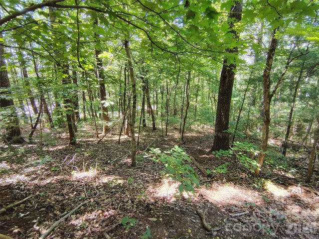 99999 Balsam Court 12B, Arden, NC 28704