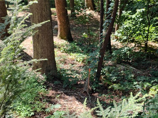 99999 Balsam Court 12B, Arden, NC 28704