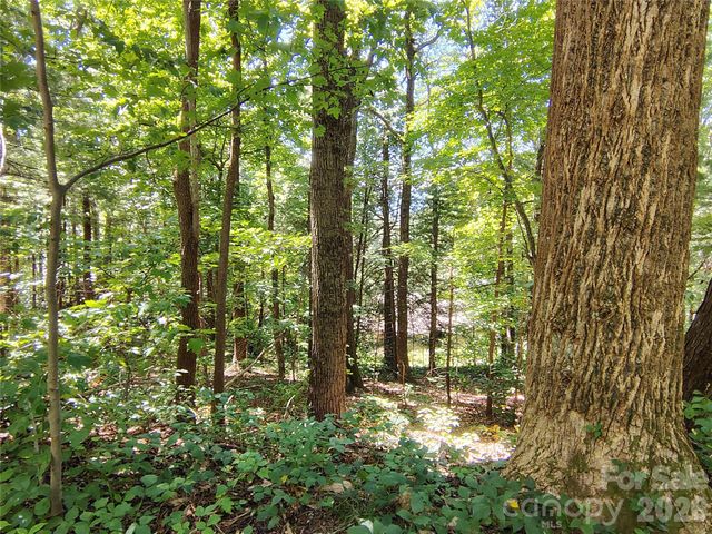 99999 Balsam Court 12B, Arden, NC 28704