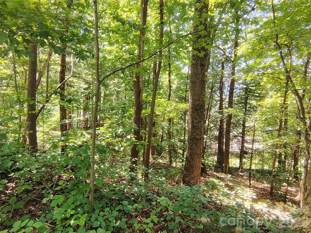 99999 Balsam Court 12B, Arden, NC 28704