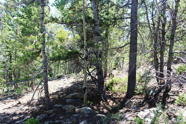 1595 Missouri Gulch Road, Black Hawk, CO 80422