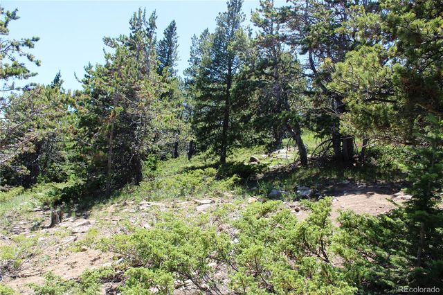 1595 Missouri Gulch Road, Black Hawk, CO 80422