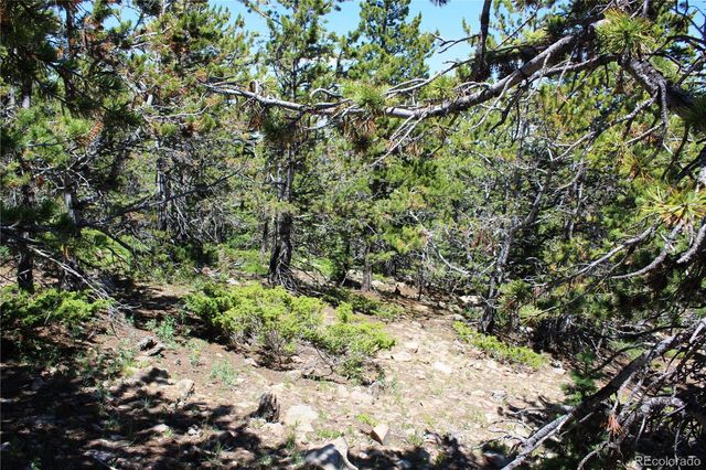 1595 Missouri Gulch Road, Black Hawk, CO 80422
