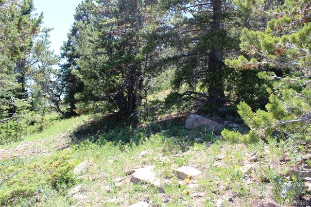 1595 Missouri Gulch Road, Black Hawk, CO 80422