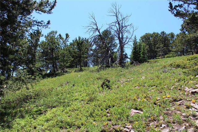 1595 Missouri Gulch Road, Black Hawk, CO 80422