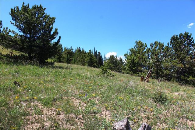 1595 Missouri Gulch Road, Black Hawk, CO 80422
