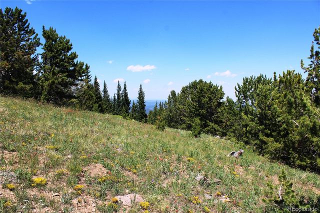 1595 Missouri Gulch Road, Black Hawk, CO 80422