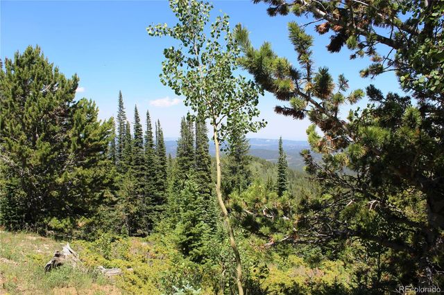 1595 Missouri Gulch Road, Black Hawk, CO 80422