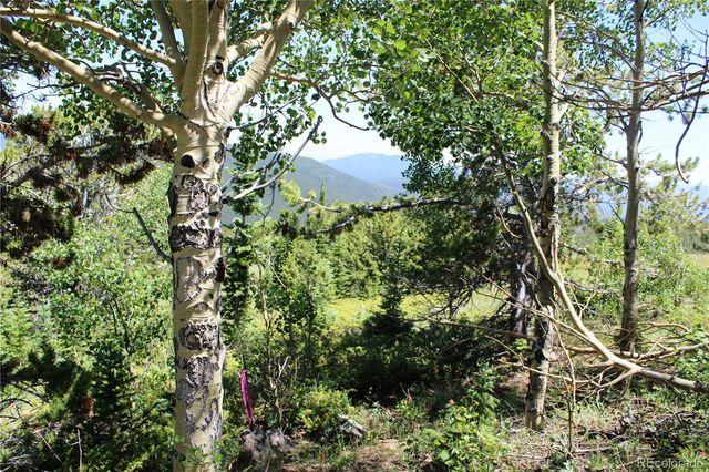 1595 Missouri Gulch Road, Black Hawk, CO 80422