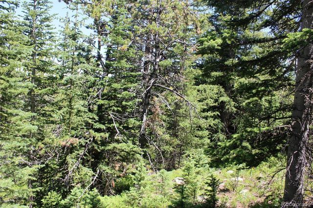 1595 Missouri Gulch Road, Black Hawk, CO 80422