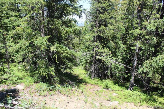 1595 Missouri Gulch Road, Black Hawk, CO 80422