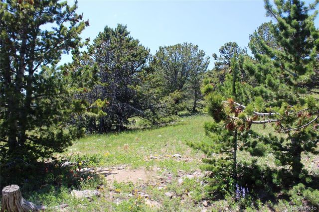 1595 Missouri Gulch Road, Black Hawk, CO 80422