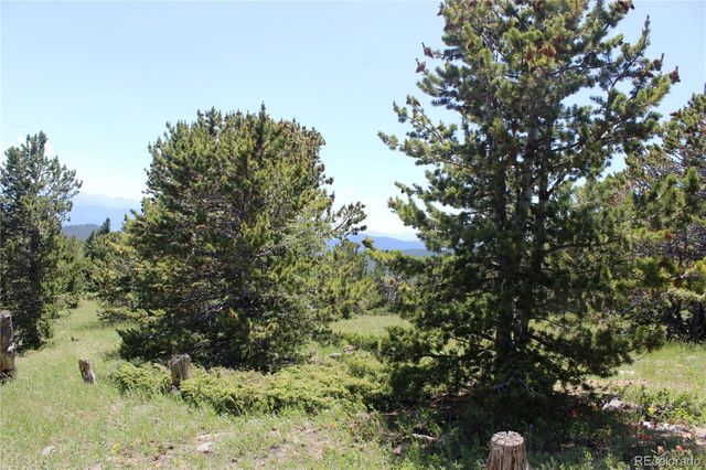 1595 Missouri Gulch Road, Black Hawk, CO 80422