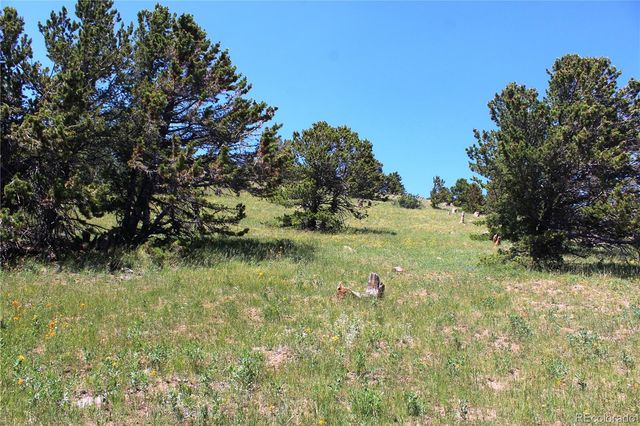 1595 Missouri Gulch Road, Black Hawk, CO 80422