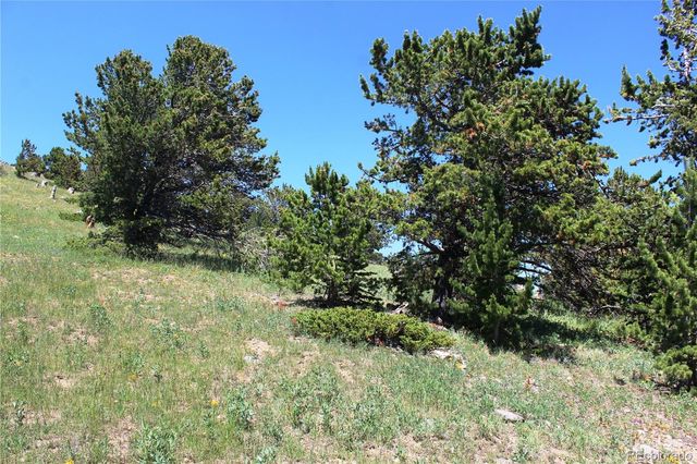 1595 Missouri Gulch Road, Black Hawk, CO 80422