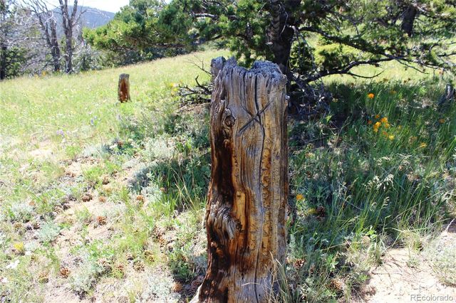 1595 Missouri Gulch Road, Black Hawk, CO 80422