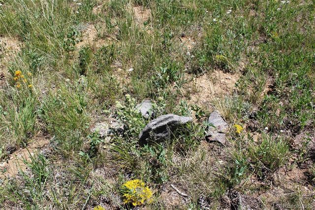 1595 Missouri Gulch Road, Black Hawk, CO 80422