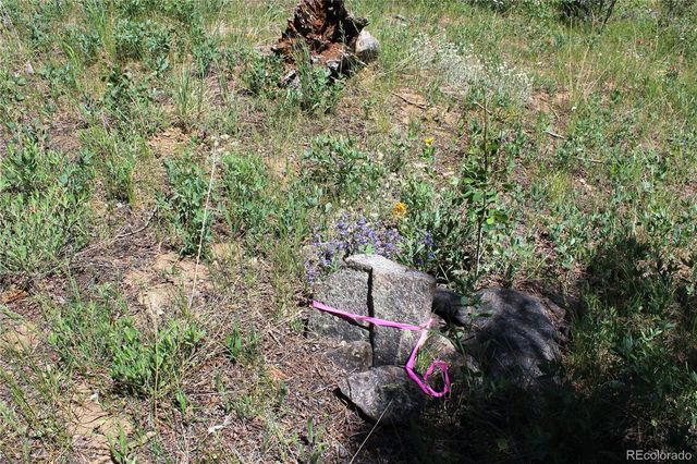 1595 Missouri Gulch Road, Black Hawk, CO 80422