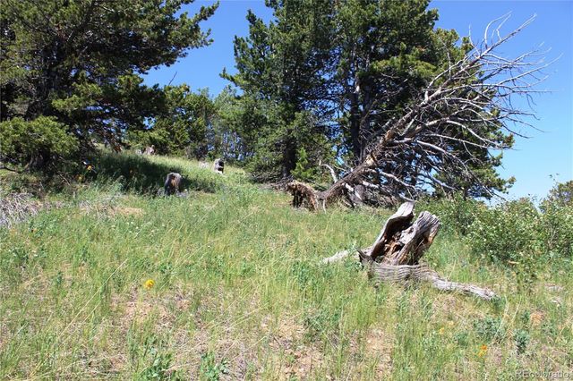1595 Missouri Gulch Road, Black Hawk, CO 80422