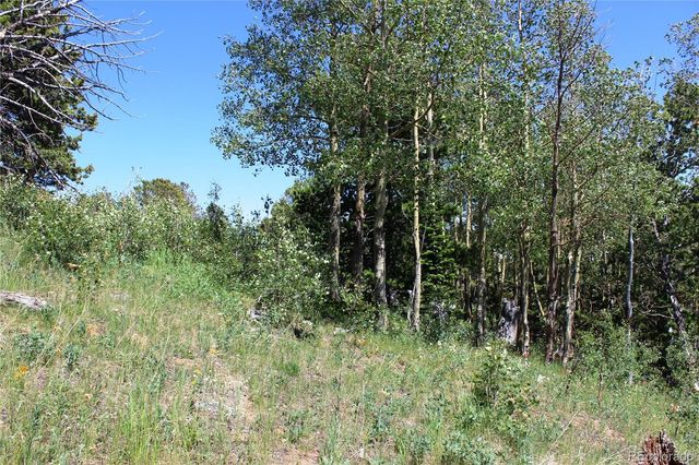 1595 Missouri Gulch Road, Black Hawk, CO 80422