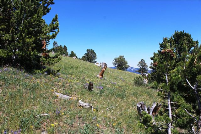 1595 Missouri Gulch Road, Black Hawk, CO 80422
