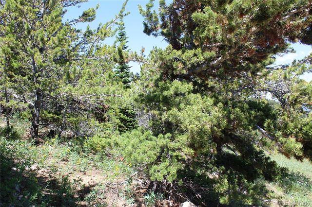 1595 Missouri Gulch Road, Black Hawk, CO 80422