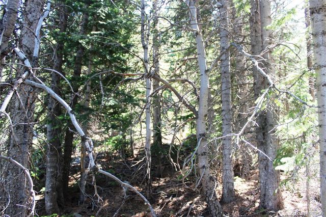 1595 Missouri Gulch Road, Black Hawk, CO 80422