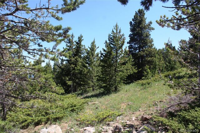 1595 Missouri Gulch Road, Black Hawk, CO 80422
