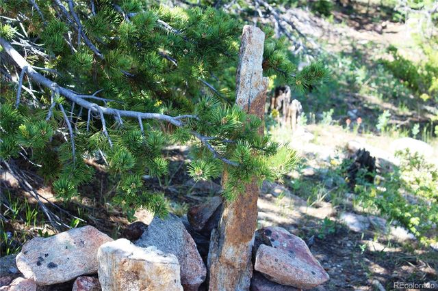 1595 Missouri Gulch Road, Black Hawk, CO 80422