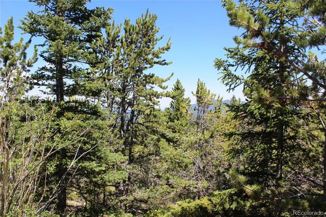 1595 Missouri Gulch Road, Black Hawk, CO 80422