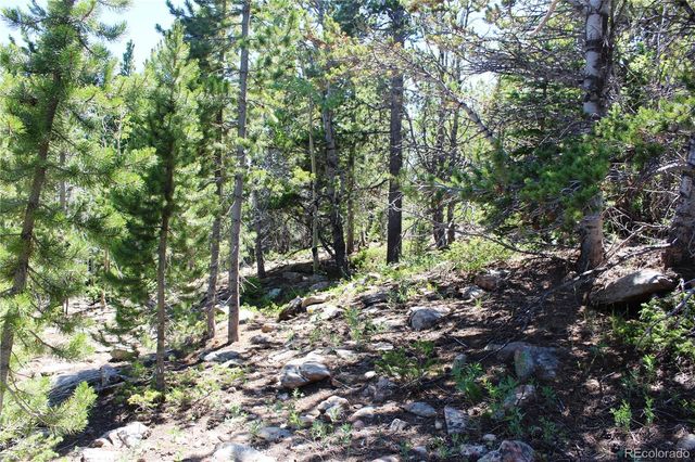 1595 Missouri Gulch Road, Black Hawk, CO 80422