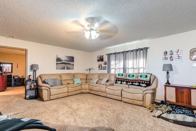 13118 N County Road 1500, Shallowater, TX 79363