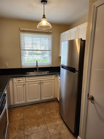 13698 ORANGE SUNSET DRIVE, Tampa, FL 33618