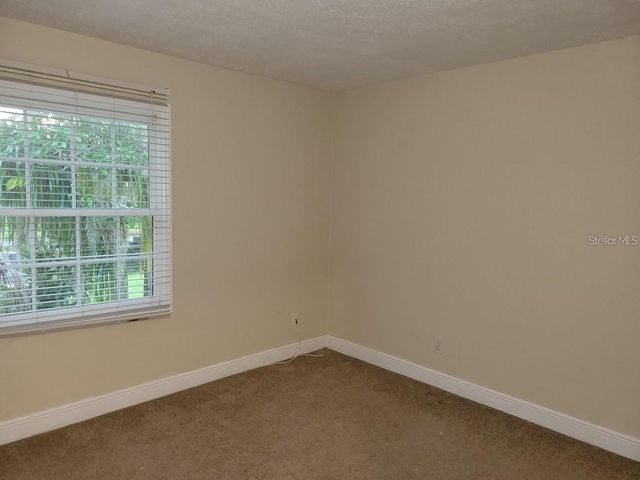 13698 ORANGE SUNSET DRIVE, Tampa, FL 33618