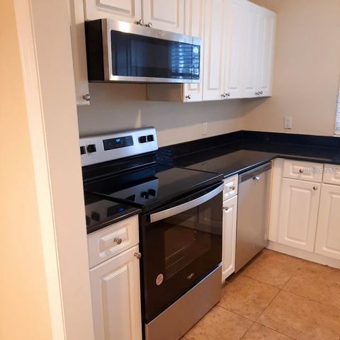 13698 ORANGE SUNSET DRIVE, Tampa, FL 33618