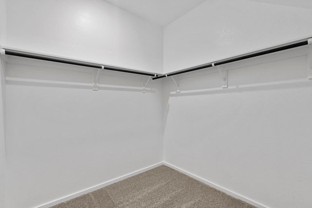 252 Orchard Laurel Drive, Alvin, TX 77511