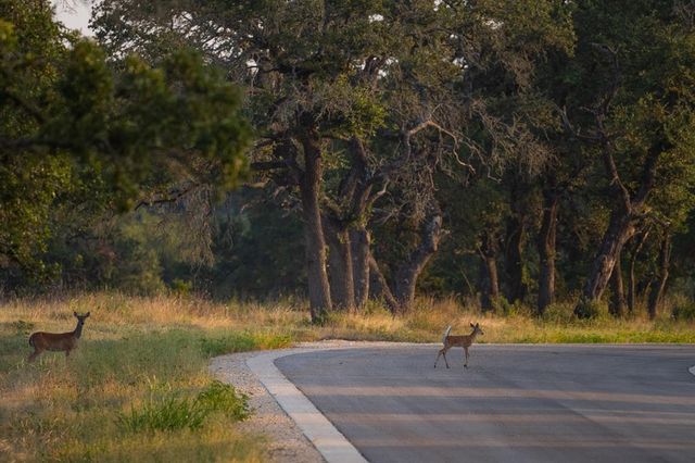 Lot 8 Tuscany DR, Driftwood, TX 78619